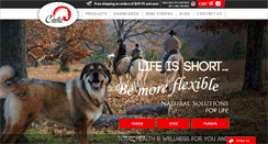 Desktop Screenshot of cavallo-inc.com